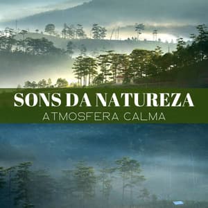 Sons Da Natureza: Atmosfera Calma - Relajante