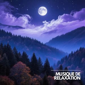 Concentration Alpha Détente - Musique Calme et Relaxation