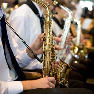 Tranquil Orchestra: Meditation Symphonies - Charles Anderson