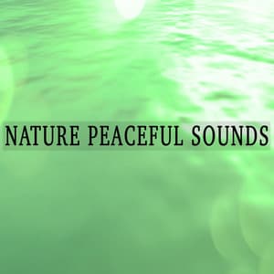 Nature Peaceful Sounds - Peaceful Music