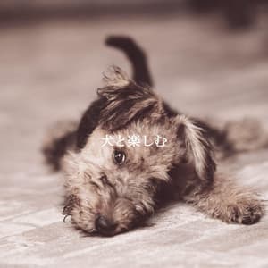 犬と楽しむ - Soft Jazz Coffee House