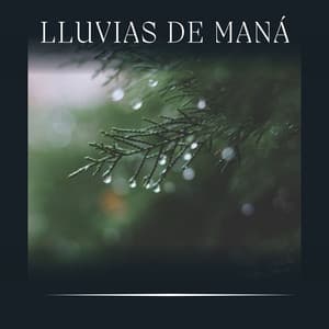 Lluvias de Maná - Sonidos De Lluvia