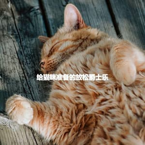 给猫咪准备的放松爵士乐 - Tranquilo Café Música