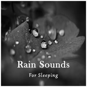 Rain Sounds for Sleeping - Cascada de Lluvia