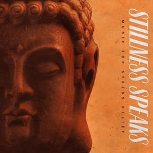 Stillness Speaks - Music for Stress Relief