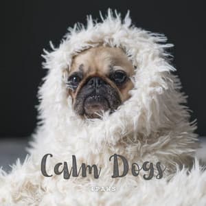 4Paws: Calm Dogs - Calming for Dogs