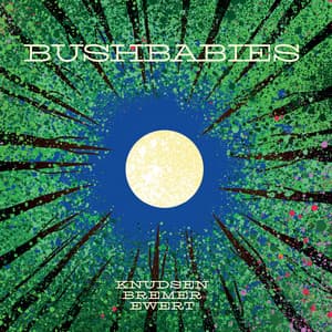Bushbabies - Niclas Knudsen
