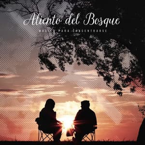 Aliento del Bosque - Música para Concentrarse