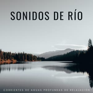 Sonidos De Río: Corrientes De Aguas Profundas De Relajación - Centro de Efectos de Agua