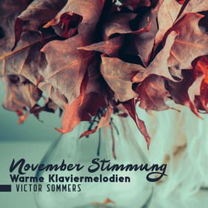 November Stimmung – Warme Klaviermelodien - Victor Sommers