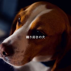 踊り好きの犬 - Easy Listening Background Music