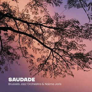 Saudade - Brussels Jazz Orchestra