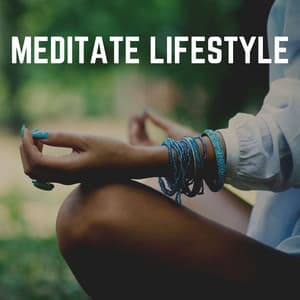 Meditate Lifestyle - Ambient
