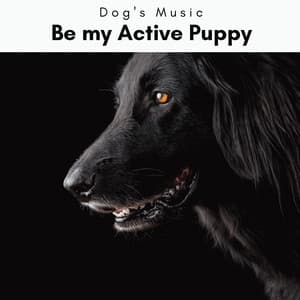 4 Dogs: Be my Active Puppy - Dog's Music