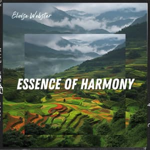 Essence of Harmony - Eloise Webster