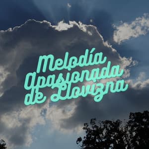 Melodía Apasionada De Llovizna - Lluvia del Pacifico