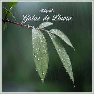 Gotas de Lluvia Relajantes - Sonido de lluvia
