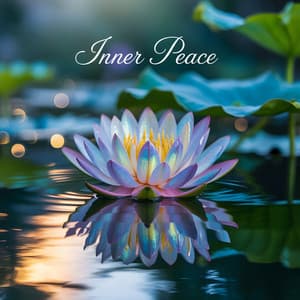 Inner Peace Meditation and Relaxation Music - Heavily Meditated