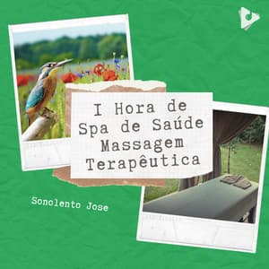 1 Hora de Spa de Saúde Massagem Terapêutica - Sonolento Jose