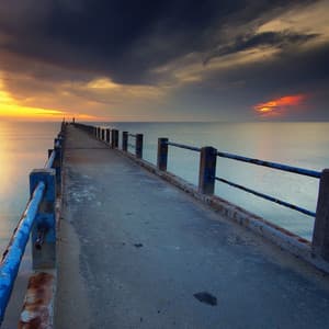 Better Sleep for Dogs - Relaxmydog