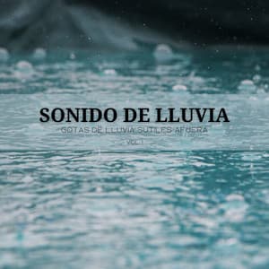 Sonido De Lluvia: Gotas De Lluvia Sutiles Afuera Vol. 1 - Laboratorio de la Naturaleza