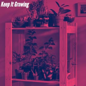 Keep It Growing - #Calmante