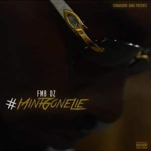 I Ain't Gone Lie - FMB DZ
