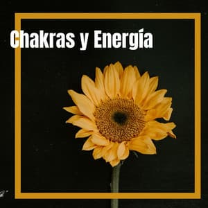 Chakras y Energía: Música de Ambiente Relajante para Practicar Yoga y Meditación - Meditacion Budista Maestros