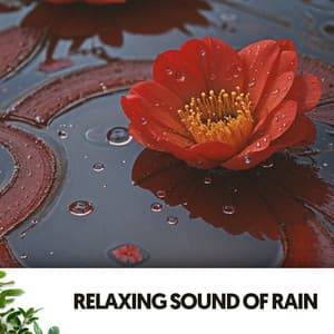 Relaxing Sound of Rain: Melodies from the Raindrop's Dance - Dog Relaxation