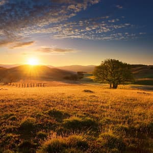 Melodías De Meditación: Calma Para La Mente - Tonos curativos para ti