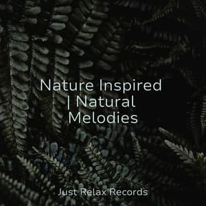Nature Inspired | Natural Melodies - Shakuhachi Sakano