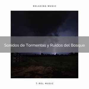 2021 Sonidos de Tormentas y Ruidos del Bosque - Academia de Música con Sonidos de la Naturaleza