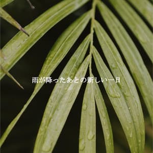 雨が降ったあとの新しい一日 - Relaxing Jazz Restaurant Music