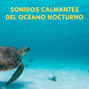 Sonidos Calmantes Del Océano Nocturno - Olas del océano para un sueño profundo