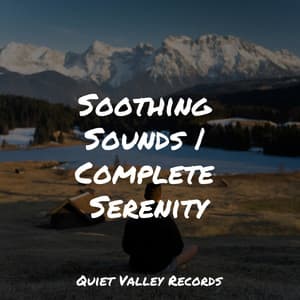 Soothing Sounds | Complete Serenity - Yoga Sounds