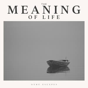 The Meaning of Life - Healing Guru
