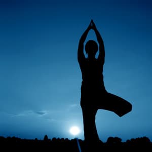 Moonlit Asanas: Owl's Yoga Serenades ASMR - Owl Sounds Recordings