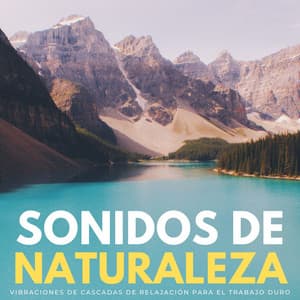 Sonidos De Naturaleza: Vibraciones De Cascadas De Relajación Para El Trabajo Duro - Paisaje sonoro de agua goteando