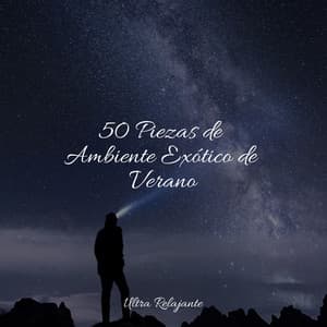 50 Piezas de Ambiente Exótico de Verano - Música ambiental relajante