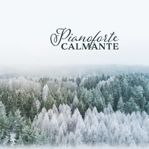 Pianoforte calmante - Miglior Pianoforte Sensazione