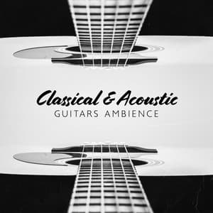 Classical & Acoustic Guitars Ambience - Richard Koppruch