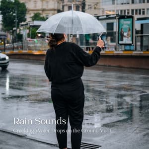 Rain Sounds: Cracking Water Drops on the Ground Vol. 1 - Rain Sounds & Nature Sounds