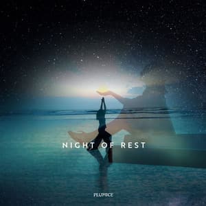 Night of Rest - Plumice