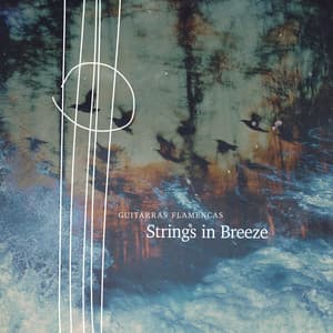 Strings in Breeze - Guitarras Flamencas