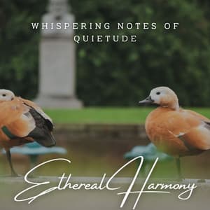Ethereal Harmony: Meditative Piano Reflections - Classy Bossa Piano Jazz Playlist