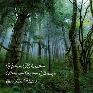 Nature Relaxation: Rain and Wind Through the Trees Vol. 1 - Rain is my Life