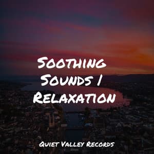 Soothing Sounds | Relaxation - Fabricantes De Lluvia
