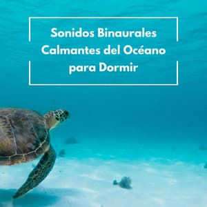 Sonidos Binaurales Calmantes Del Océano Para Dormir - Olas del océano para un sueño profundo