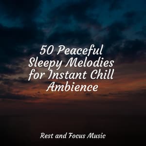 50 Peaceful Sleepy Melodies for Instant Chill Ambience - Música de la Naturaleza