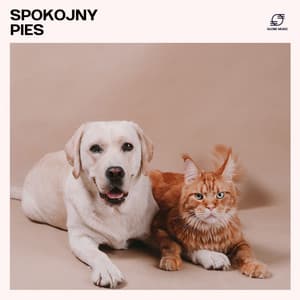 Spokojny Pies: Muzyka dla Psów - Muzyka dla psów